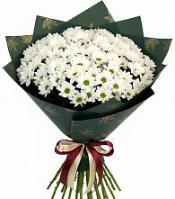 Букет цветов из:  Хризантемы #REPLACE_PRED# Забайкальске