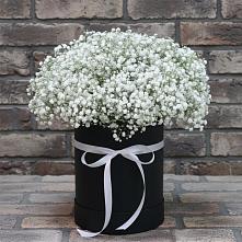 Цветочная композиция из Гипсофила в шляпной коробке #REPLACE_PRED# Забайкальске